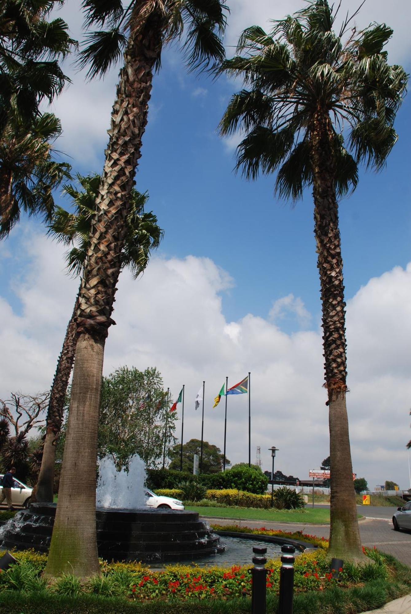 Southern Sun Or Tambo International Airport Kempton Park Dış mekan fotoğraf Welcome to Port Elizabeth